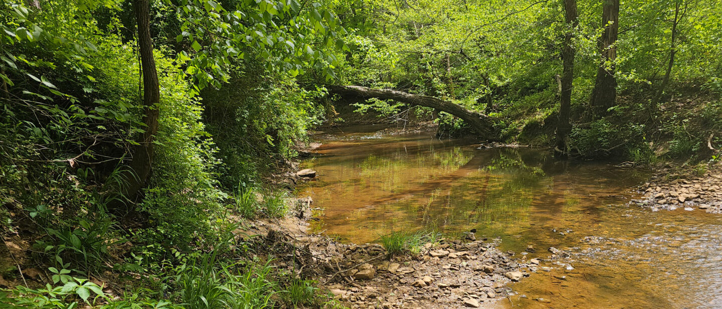 L 2600409 creek