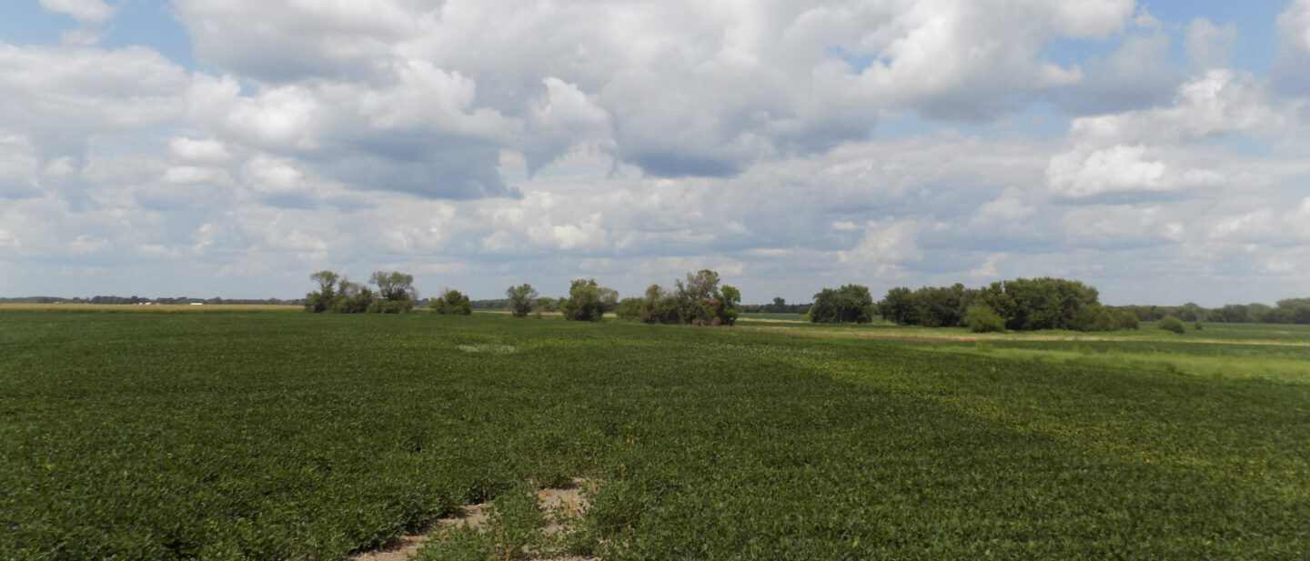 L2400439 3 Humboldt County Iowa farmland