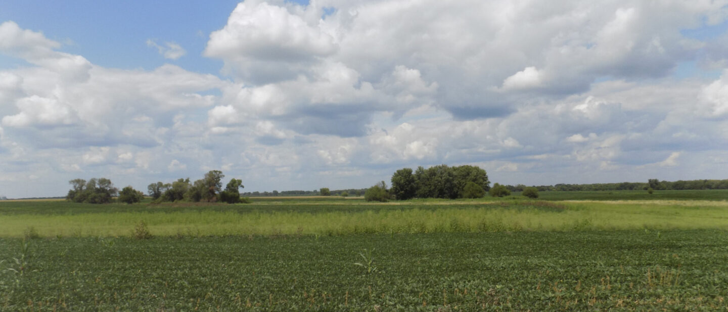 L2400439 Cover Humboldt Iowa County Farmland