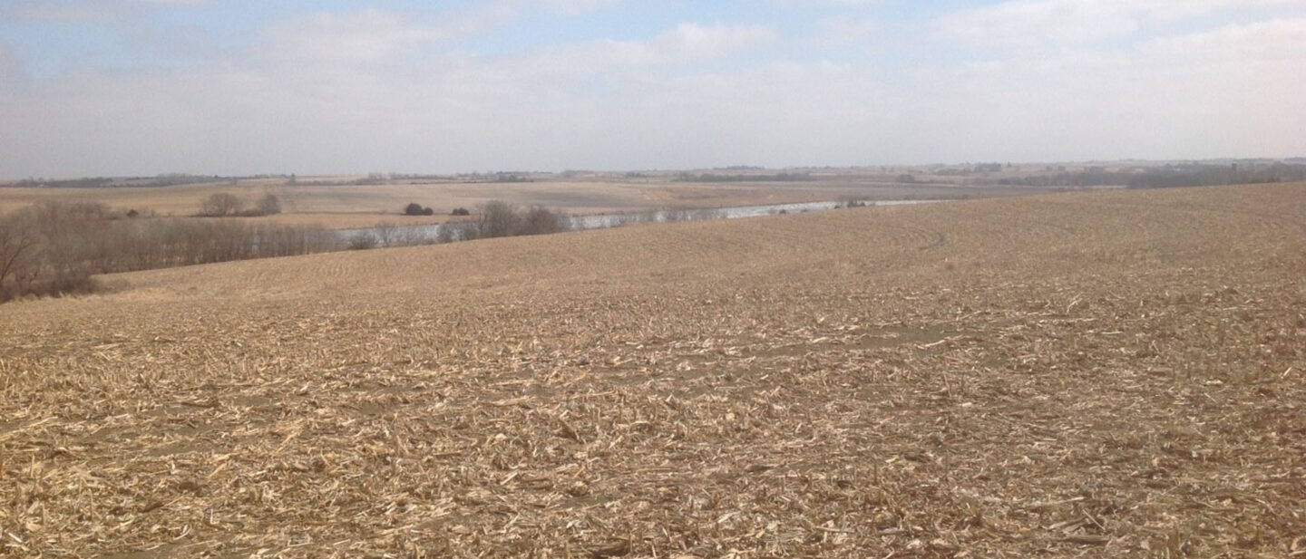 L2600248 Wyatt pic 2