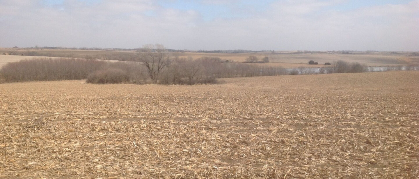 L2600248 Wyatt pic 3