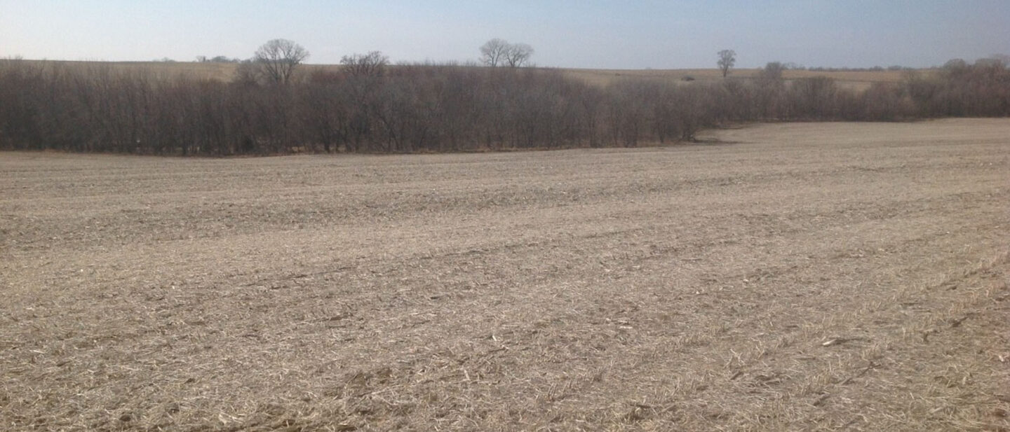 L2600248 Wyatt pic 4