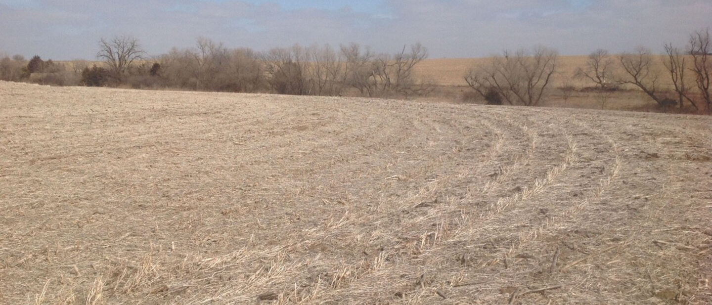 L2600248 Wyatt pic 6