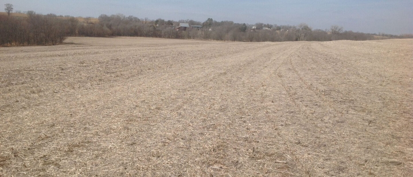 L2600248 Wyatt pic 7