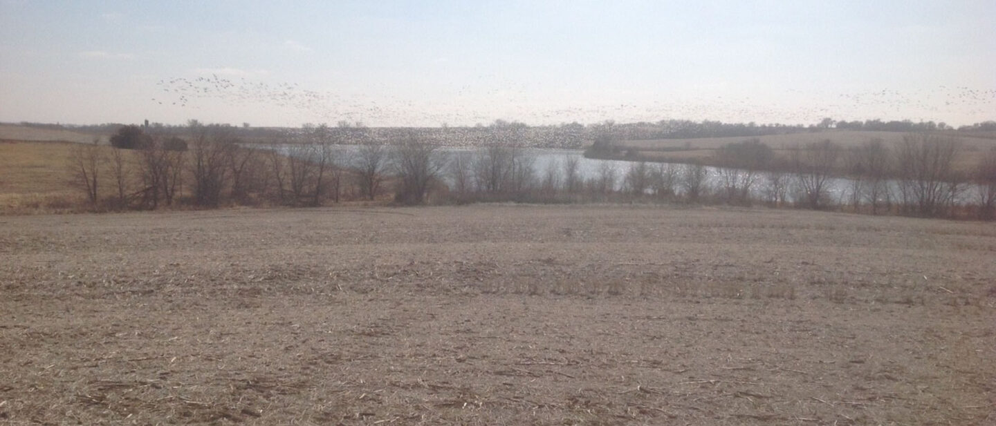 L2600248 Wyatt pic 8