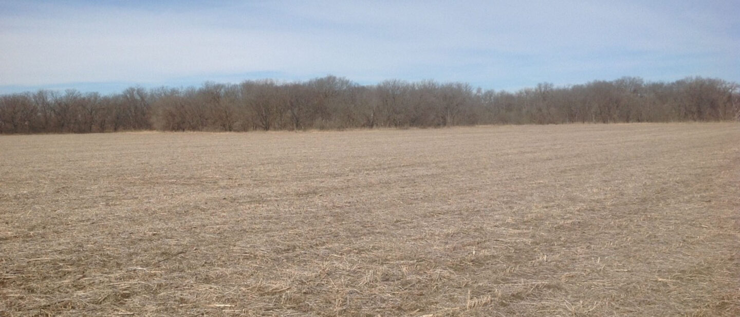 L2600249 Verbeek cover