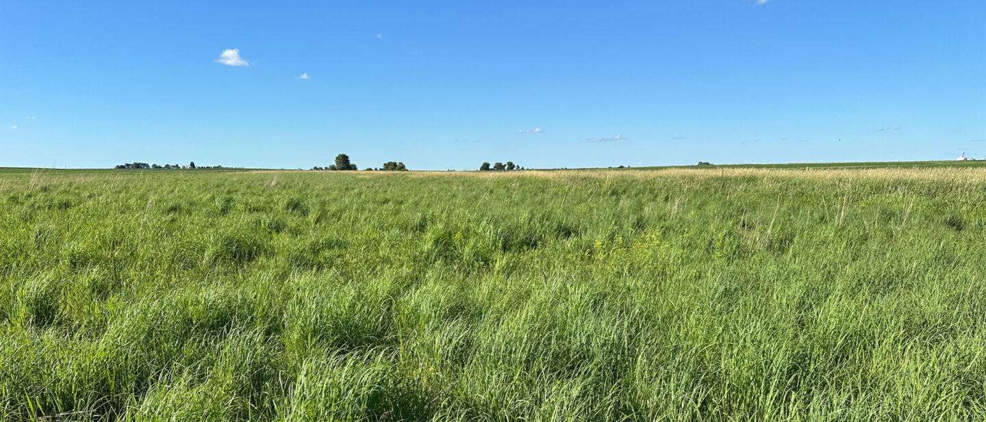 L2600292 Tract 3 CRP