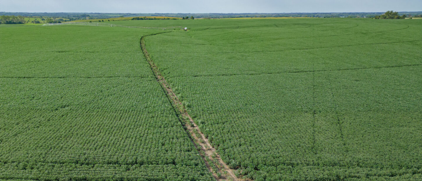 L2600532 9