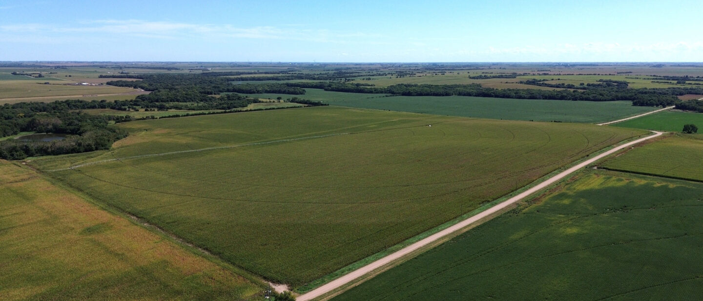 L2600594 3