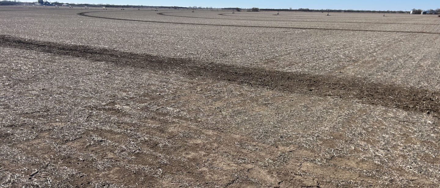 Land Sale Fillmore Nebraska Irrigated 10