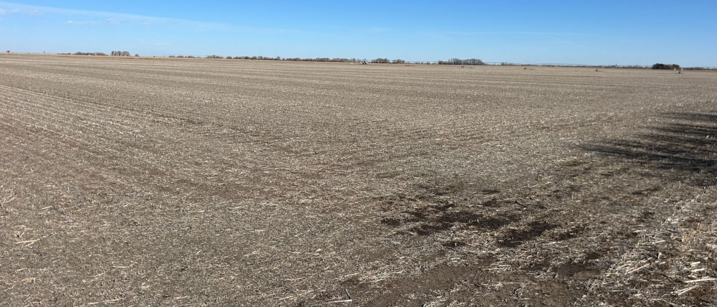 Land Sale Fillmore Nebraska Irrigated 9