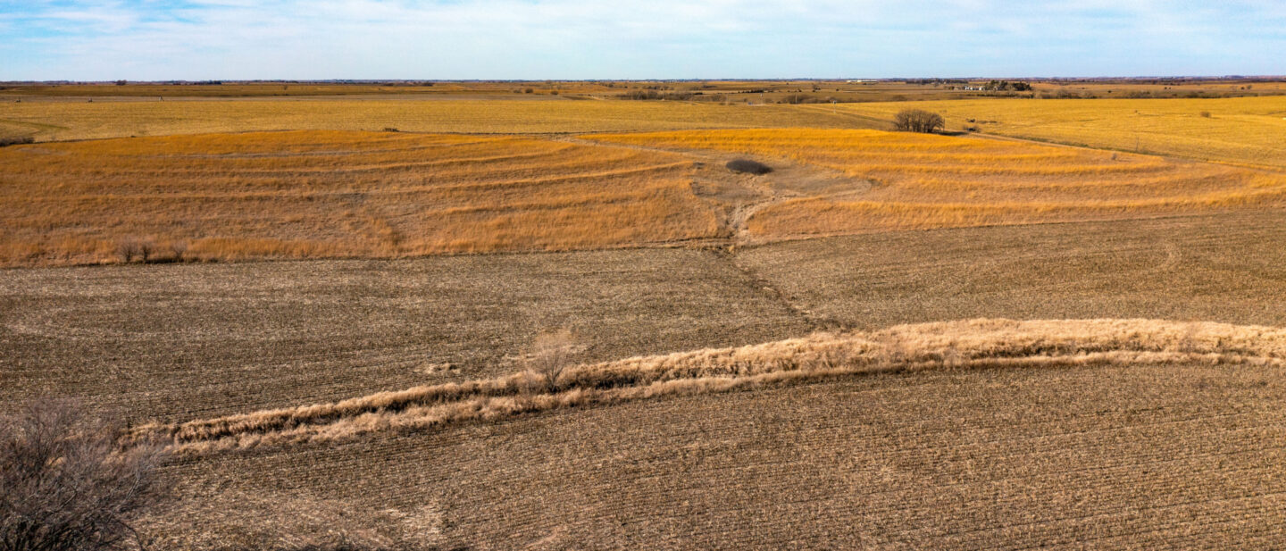 Land Sale Jefferson Nebraska CRP 2