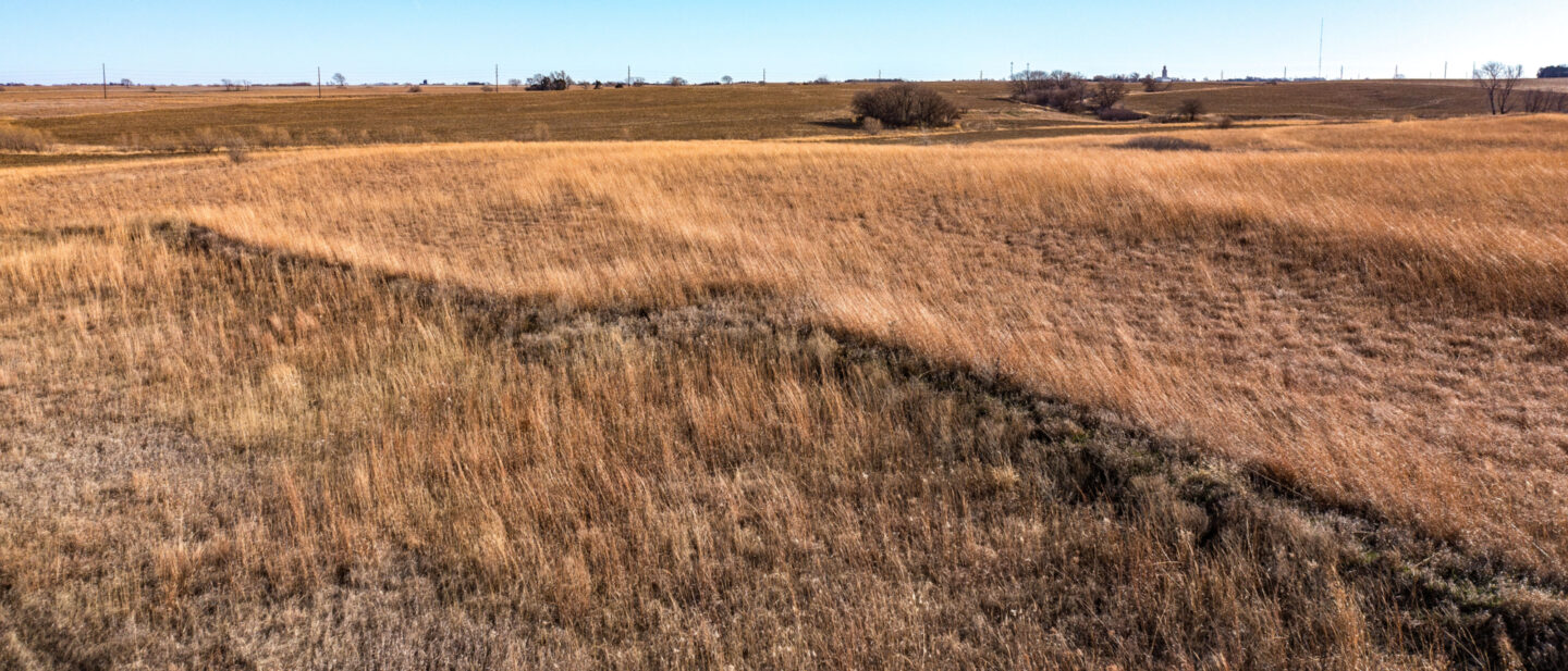 Land Sale Jefferson Nebraska CRP