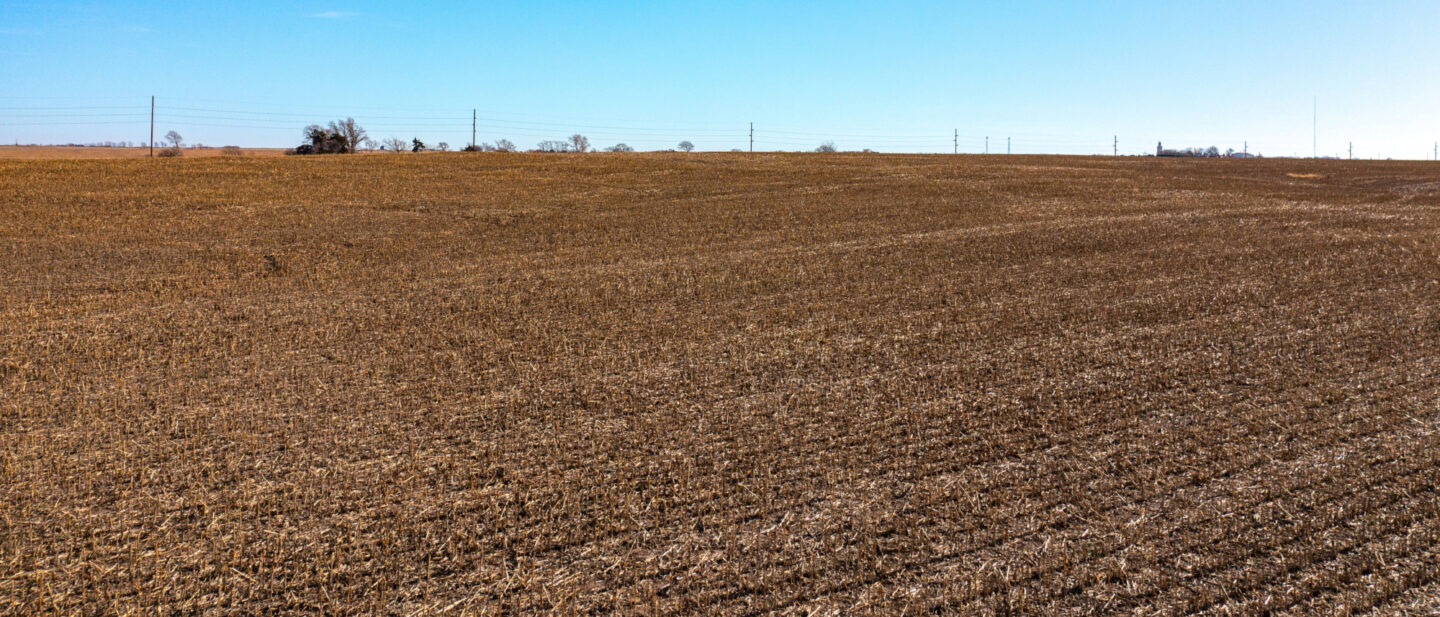 Land Sale Jefferson Nebraska Dryland 4