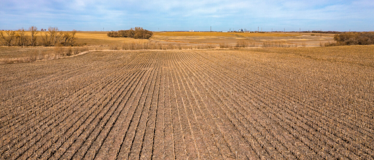 Land Sale Jefferson Nebraska Dryland 5