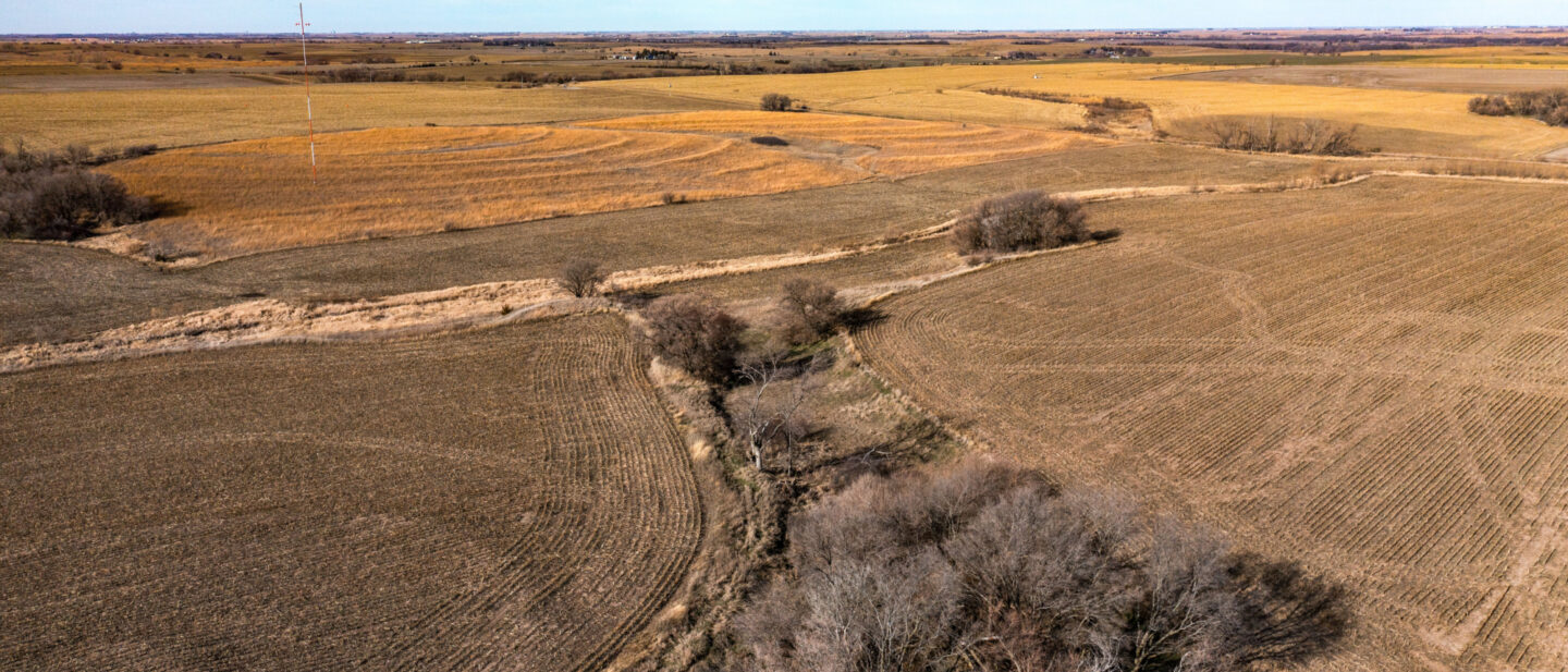 Land Sale Jefferson Nebraska Dryland 7