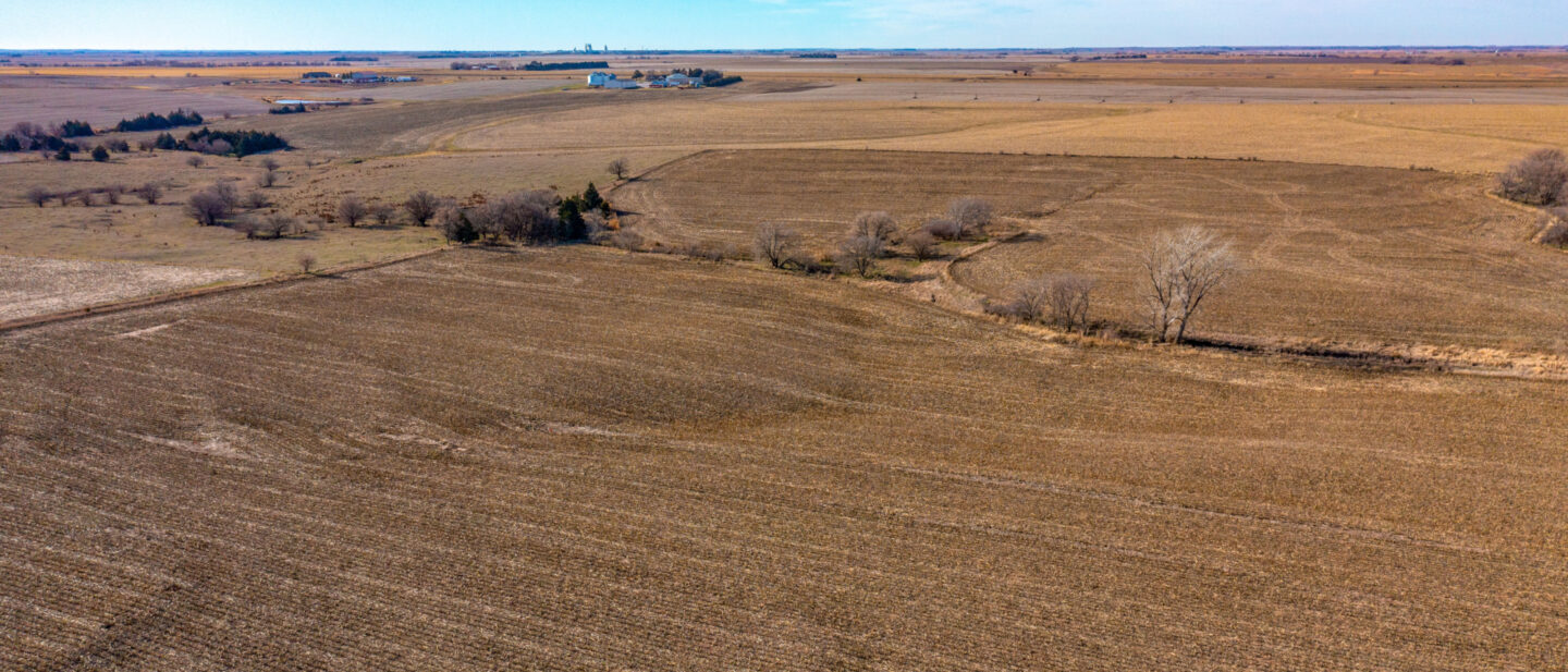 Land Sale Jefferson Nebraska Dryland 9