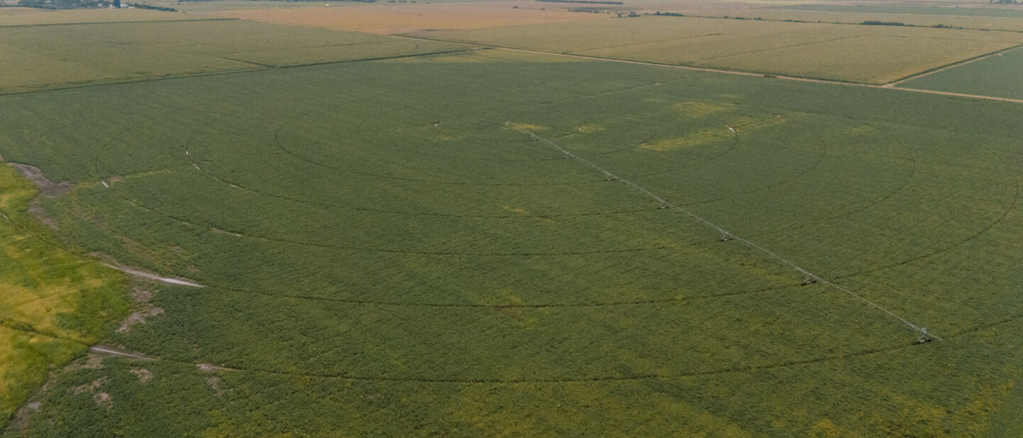 Land Sale Nuckolls Clay Nebraska Tract 2 2