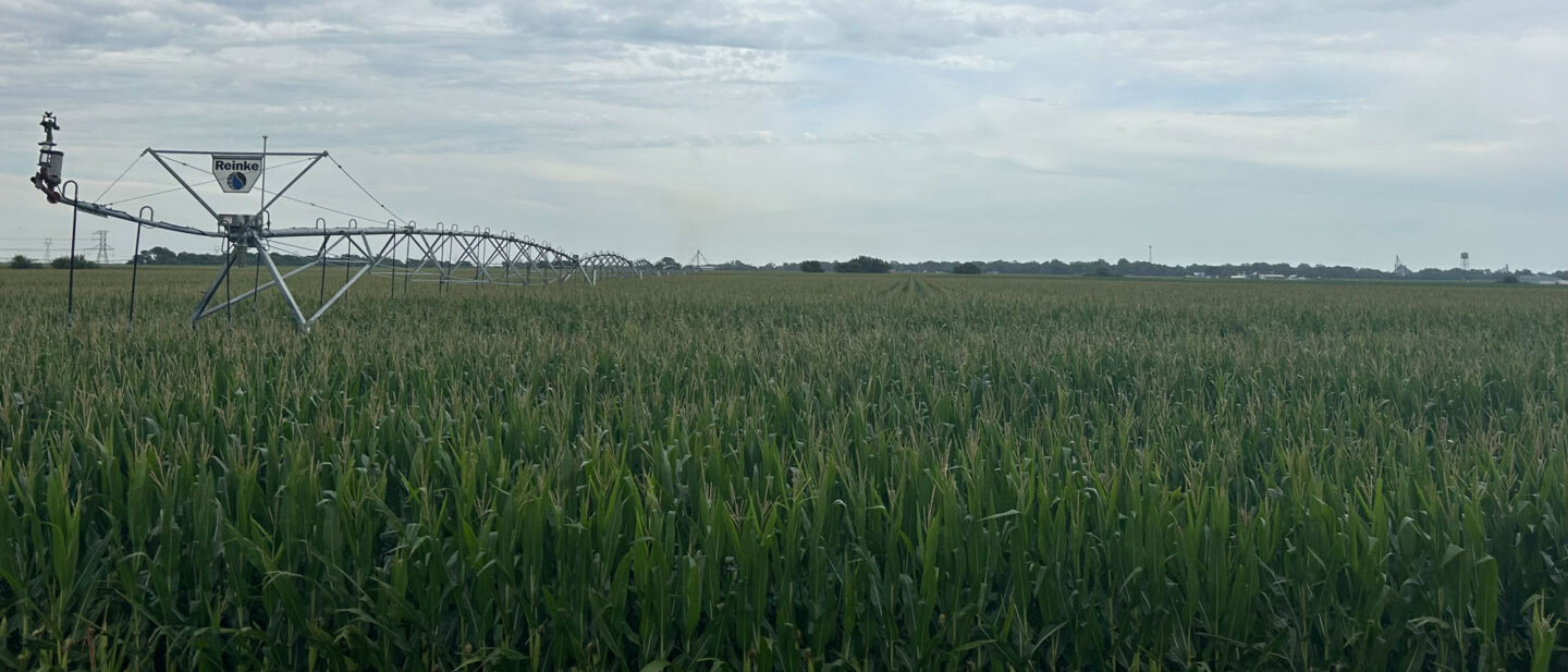 Land Sale Nuckolls Clay Nebraska Tract 3 3