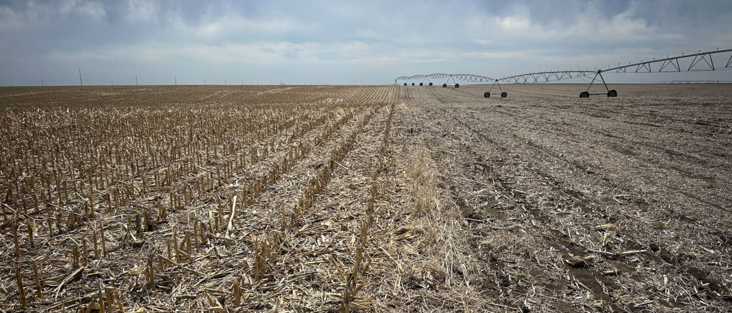 Land Sale Thayer Nebraska Irrigated 11