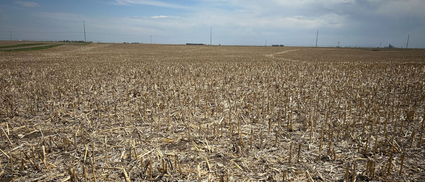 Land Sale Thayer Nebraska Irrigated 13