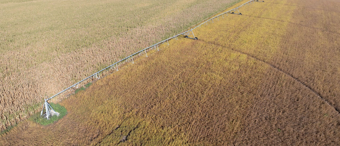Land Sale Thayer Nebraska Irrigated 2