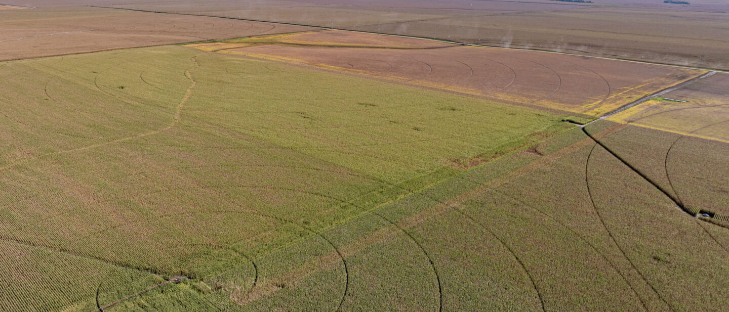 Land Sale Thayer Nebraska Irrigated 3