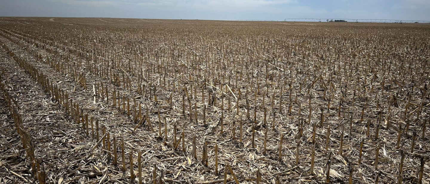 Land Sale Thayer Nebraska Irrigated 8