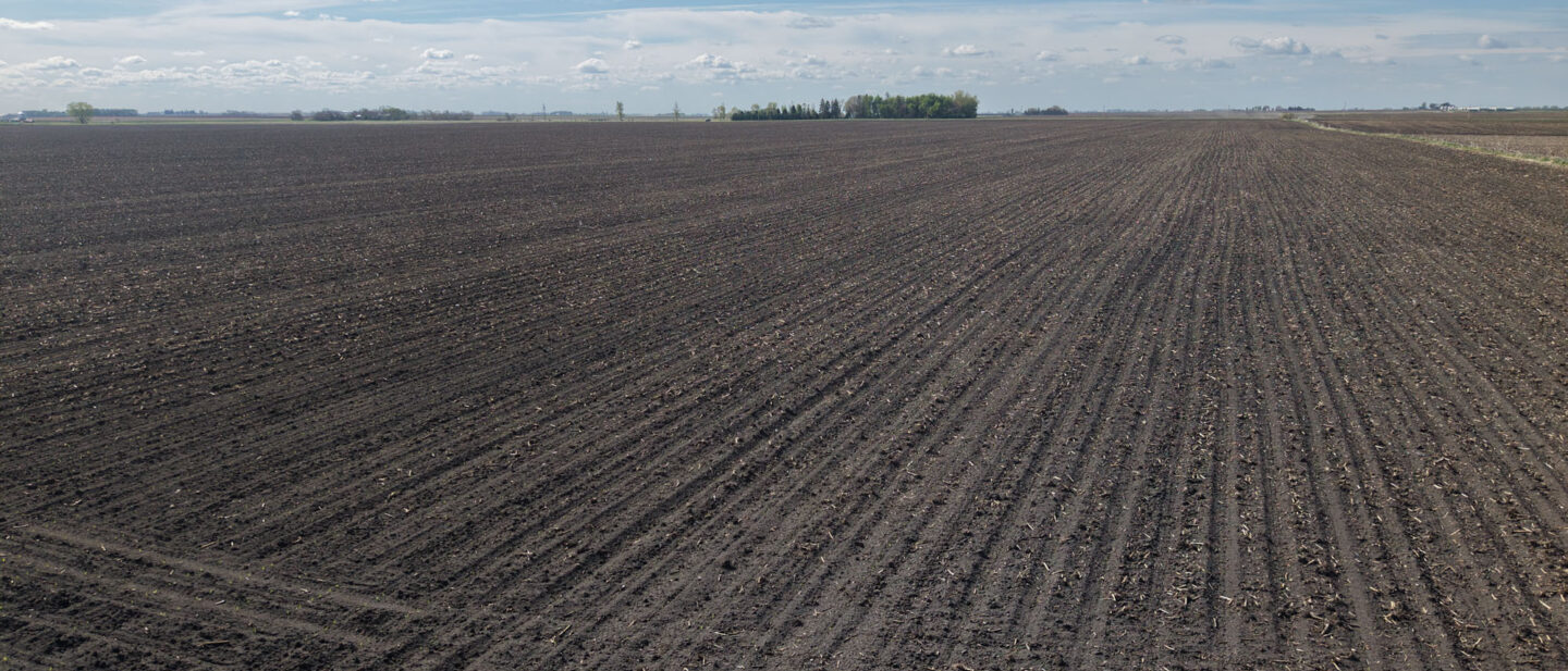 Level Iowa farmland in Wright County