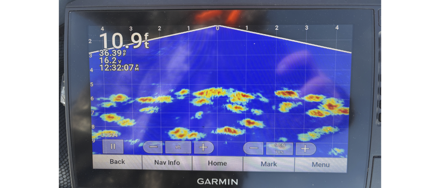 Live Scope 12 17 25 2