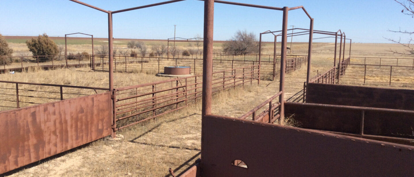 Livestock Pens 1