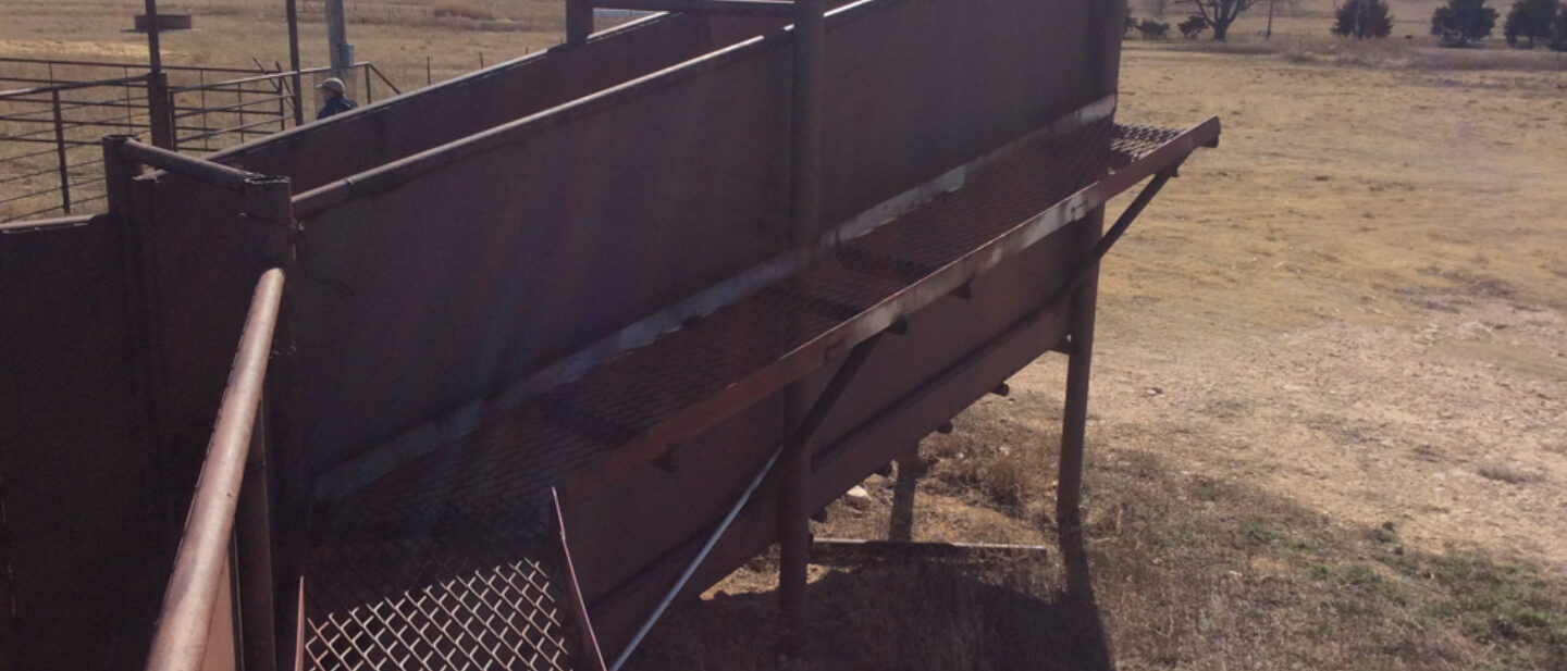 Livestock Pens Semi Load Out