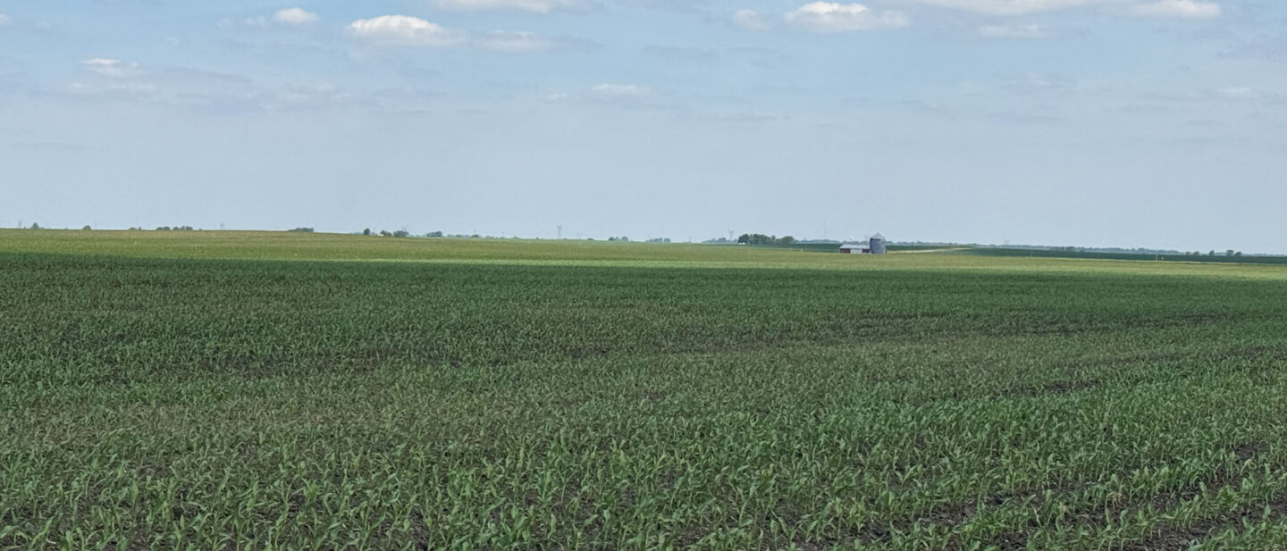 Looking Northwest across tracts 1 and 2