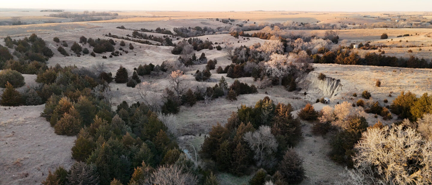 Looking South in Pasture