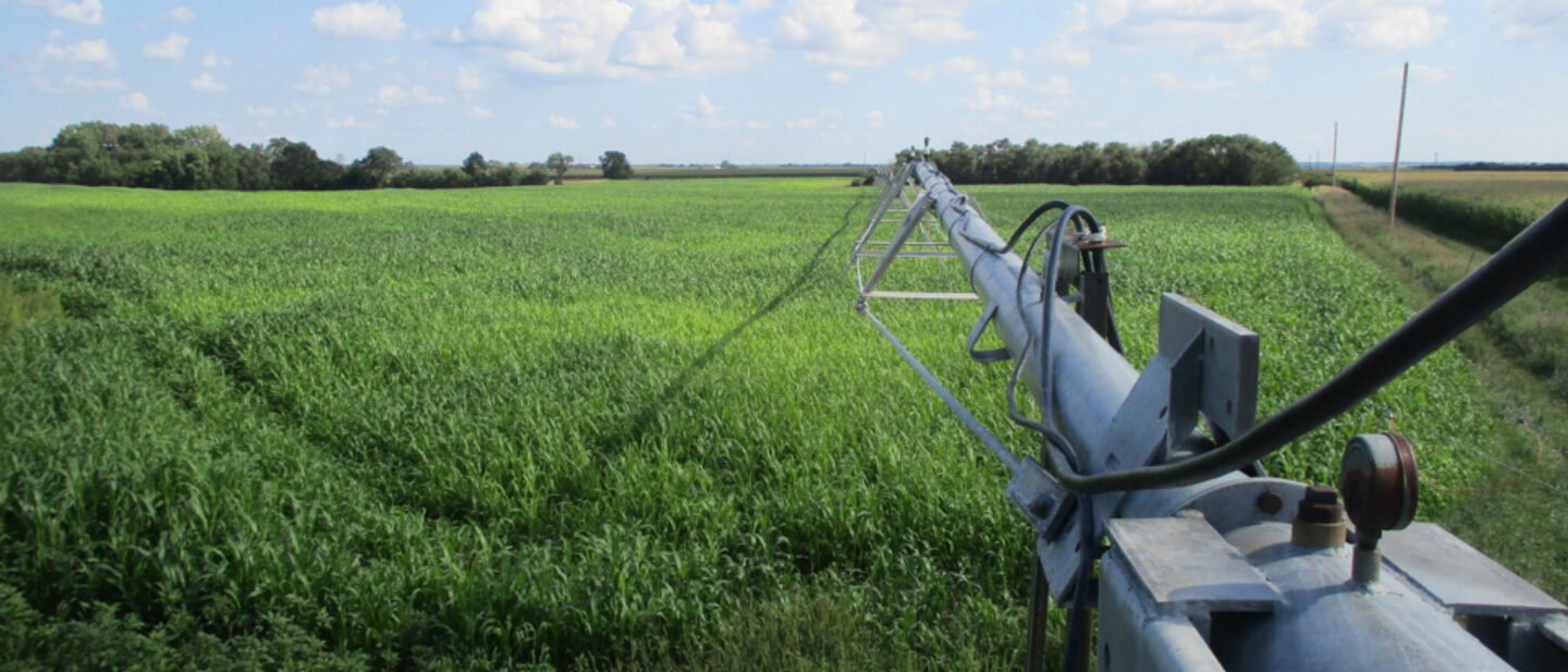 Looking down pivot