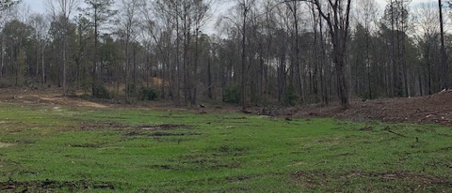 Lot 1 Homesite Area