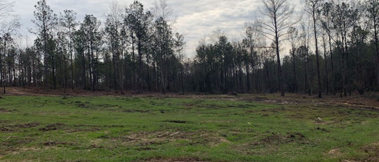 Lot 3 Field on the 40