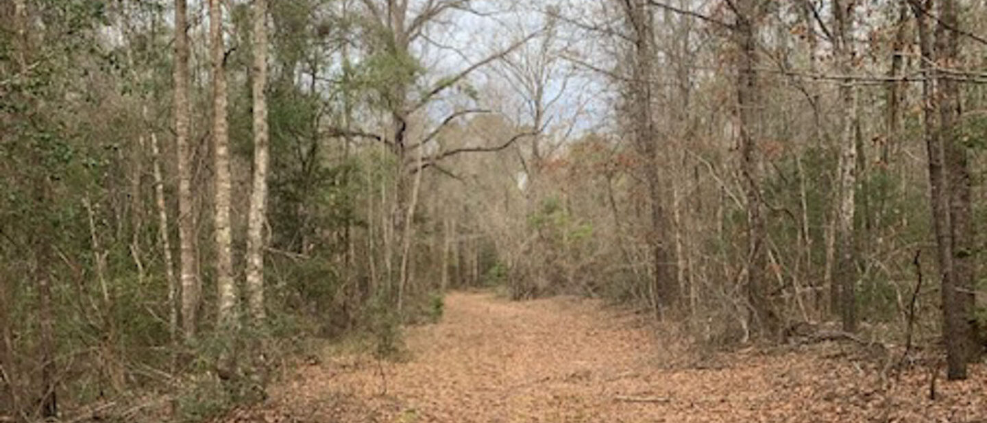 Lot 3 interior 40 road