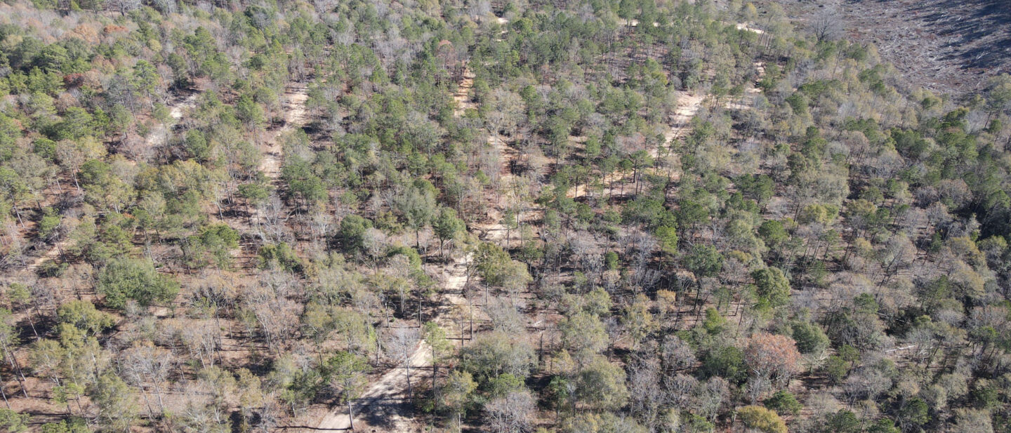 Lot 4 Aerial West Side 125