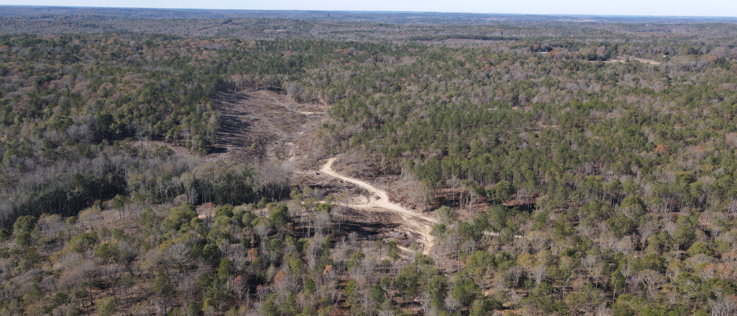 Lot 4 East View of 125