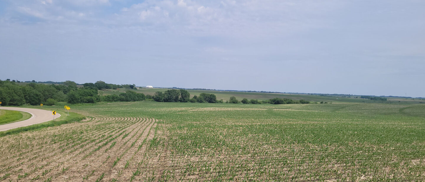 Main photo