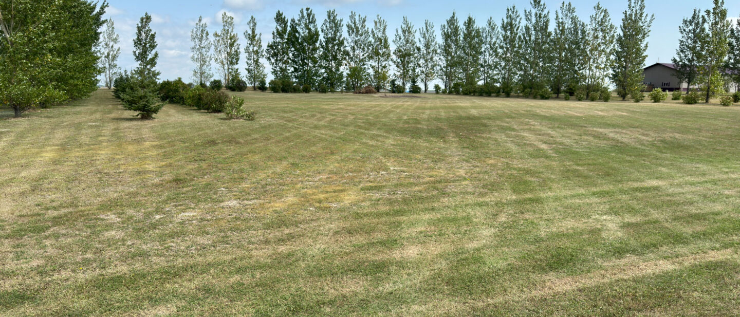 Manbeck Lot 6