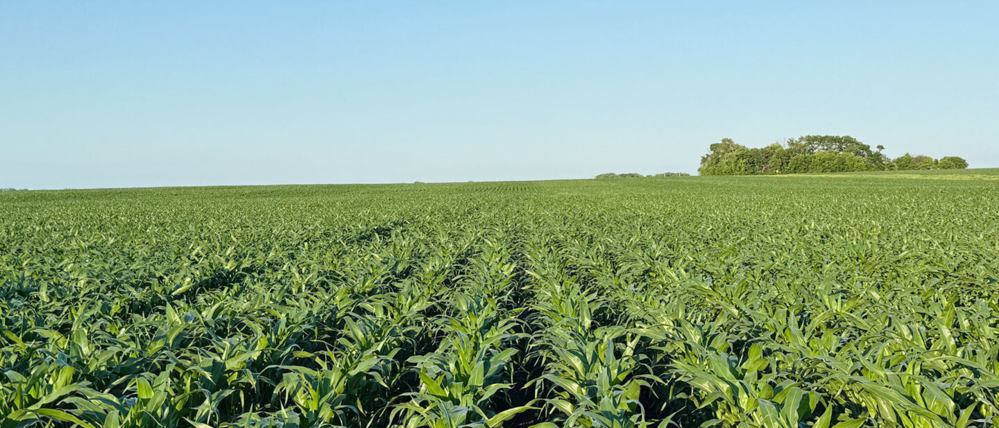 Martin County Minnesota Land Auction 160 John Ramirez 1
