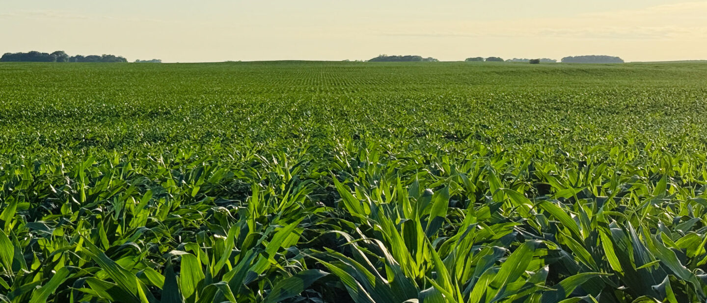 Martin County Minnesota Land Auction 160 John Ramirez 3