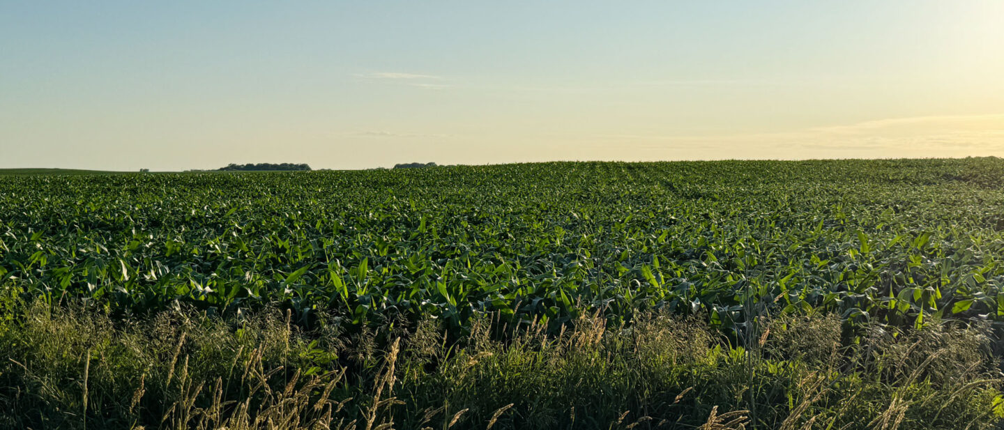 Martin County Minnesota Land Auction 160 John Ramirez 5