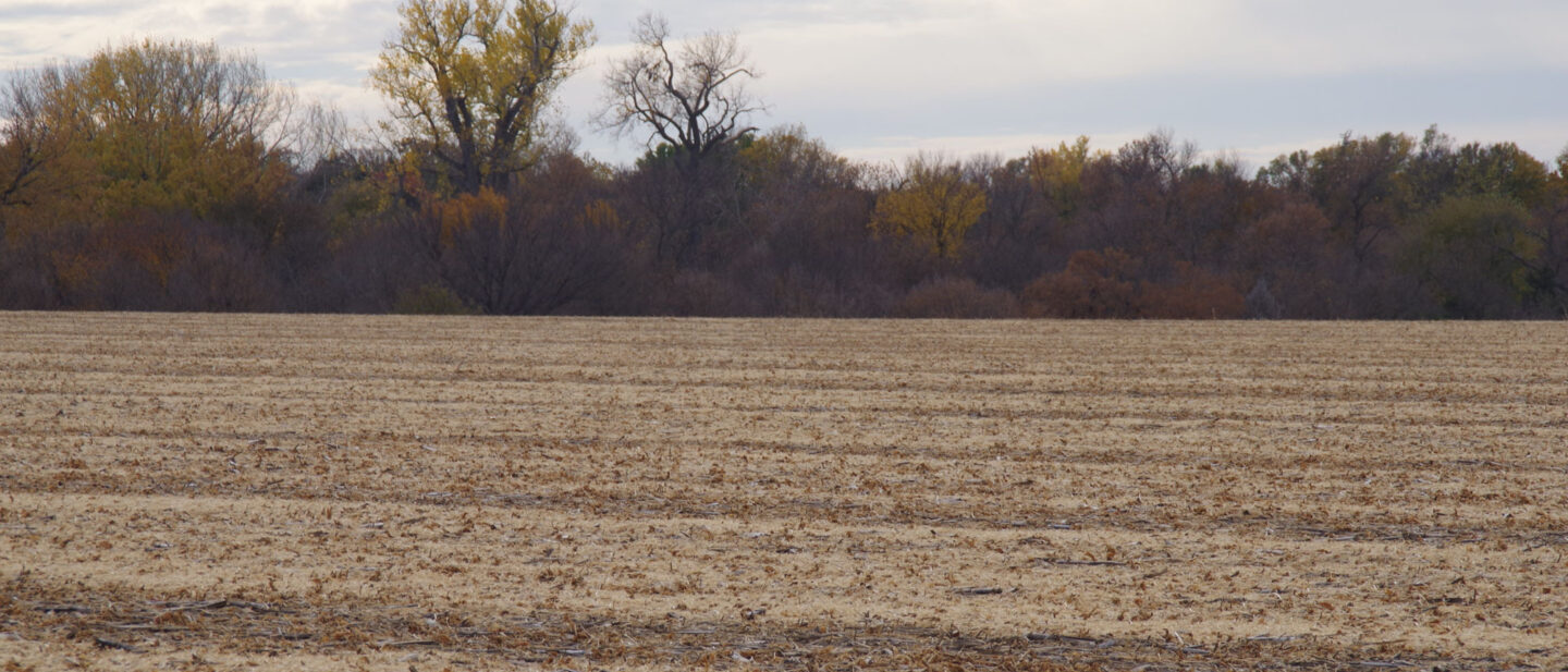 Mason City Land Cover Photo