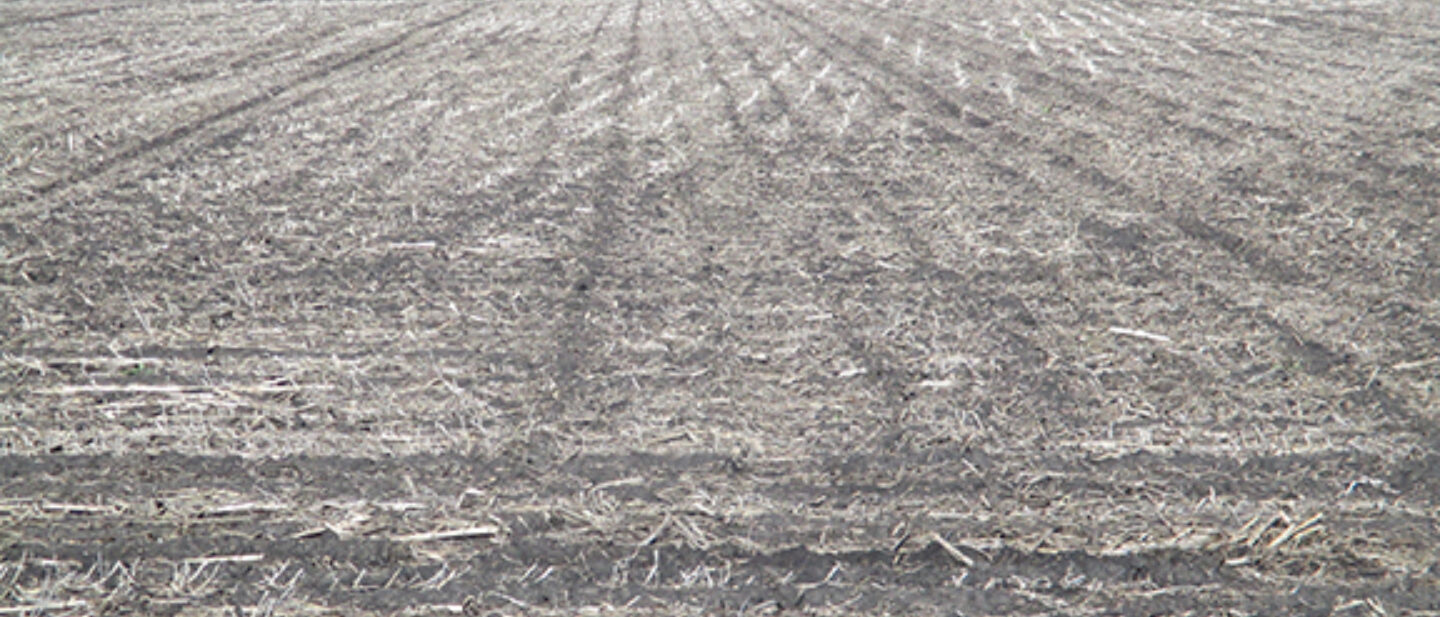 Middle of East side looking to the west across bean stubble