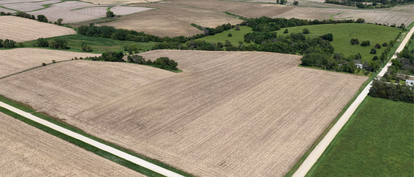 NO BORDER ALL Guthrie Lula Garnes Farm copy