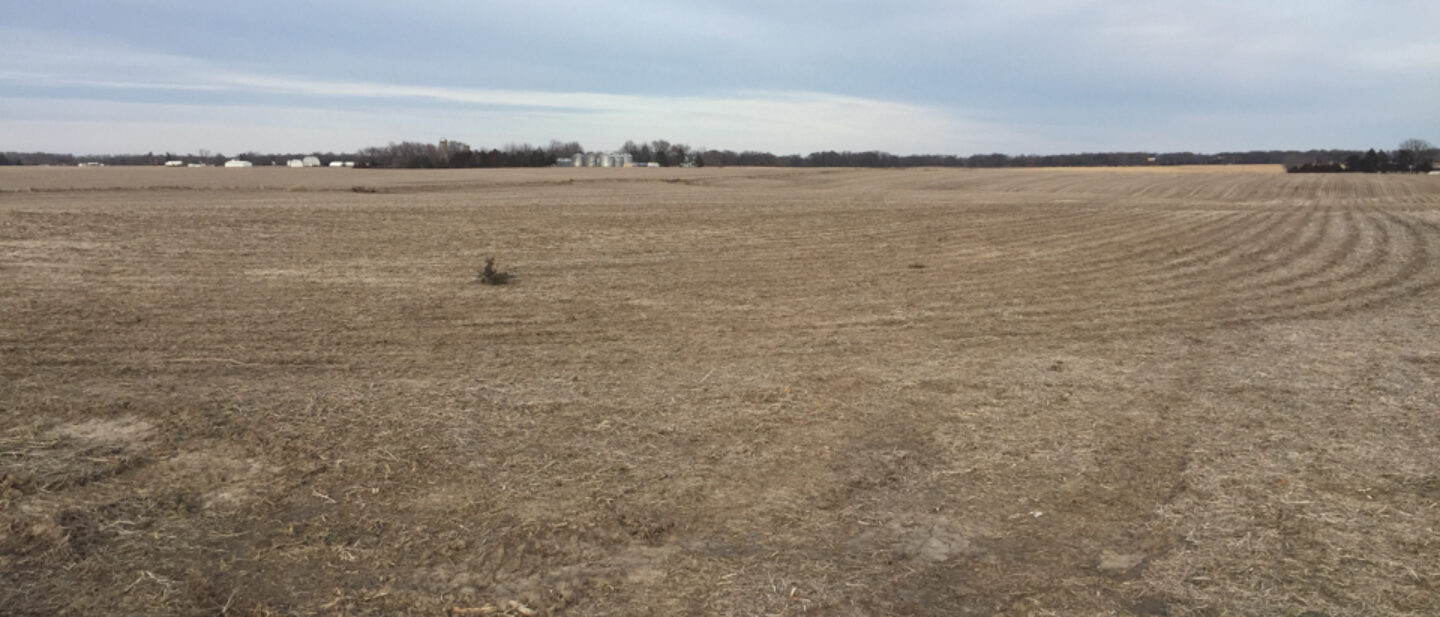 NW corner of excluded acreage looking NE