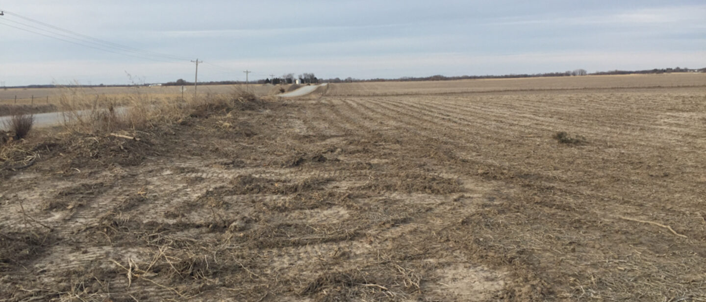 NW corner of excluded acreage looking north